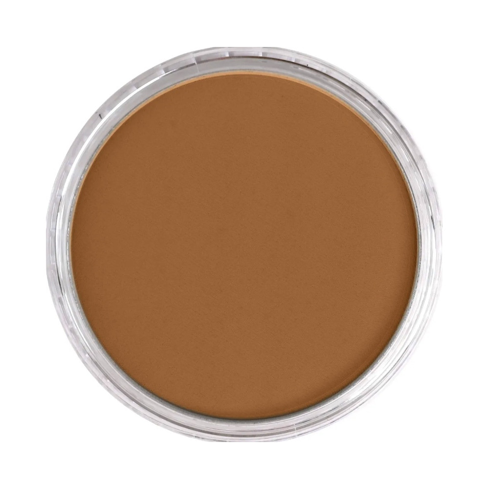 Ultra Soft PanPastel - 710.3 Raw Sienna Shade