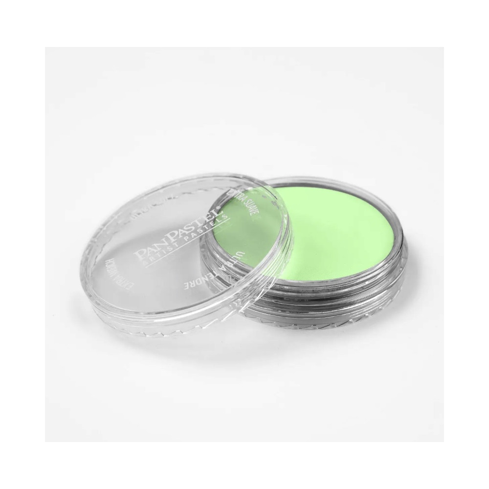 Ultra Soft PanPastel - 690.8 Yellow Green Tint