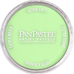 Ultra Soft PanPastel - 690.8 Yellow Green Tint