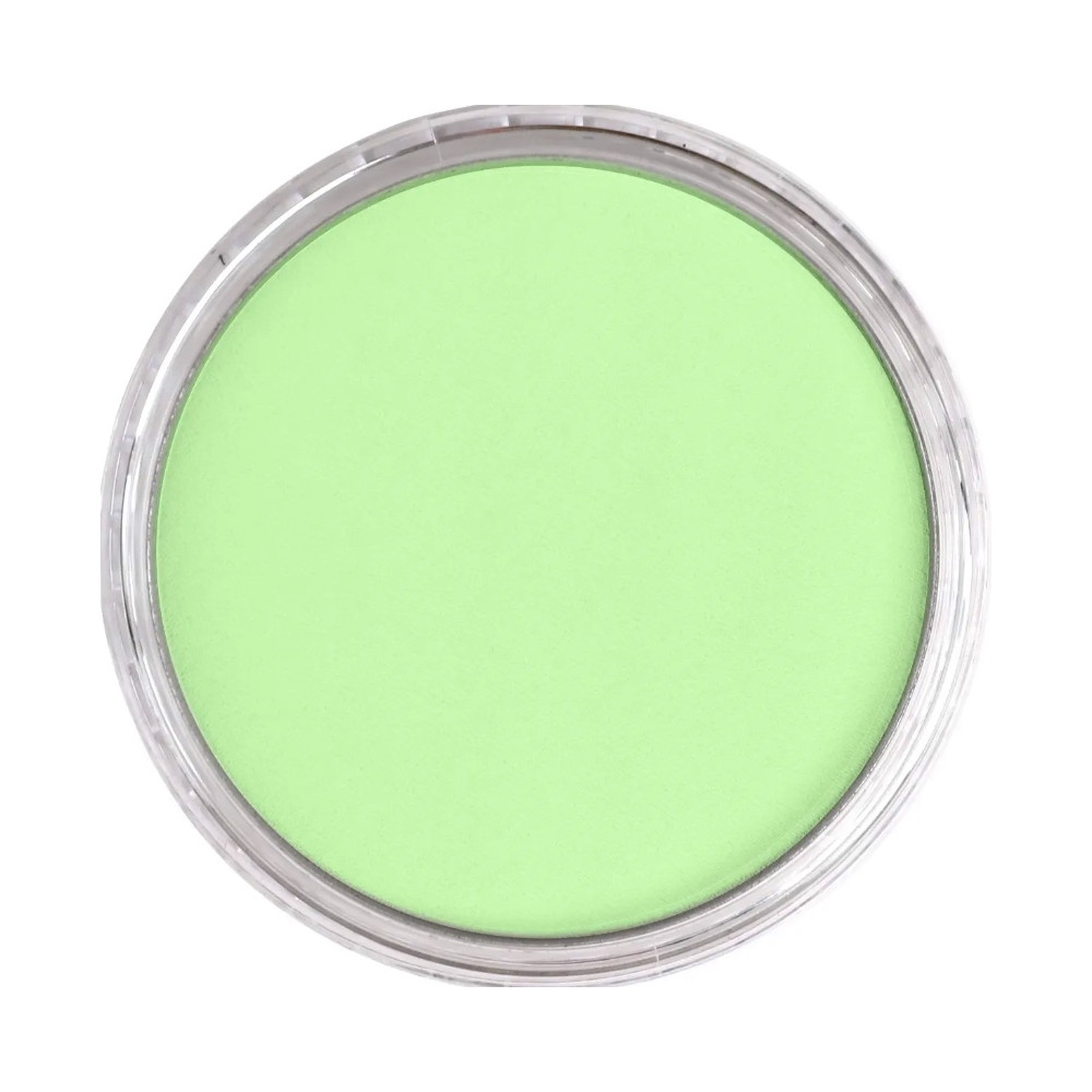 Ultra Soft PanPastel - 690.8 Yellow Green Tint