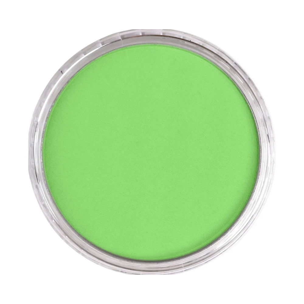 Pastela sucha PanPastel - 690.7 Yellow Green Light