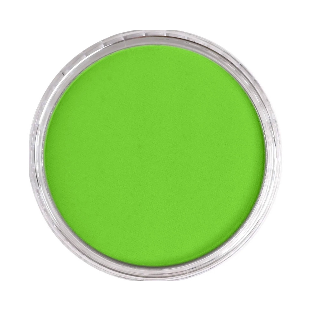 Ultra Soft PanPastel - 690.5 Yellow Green