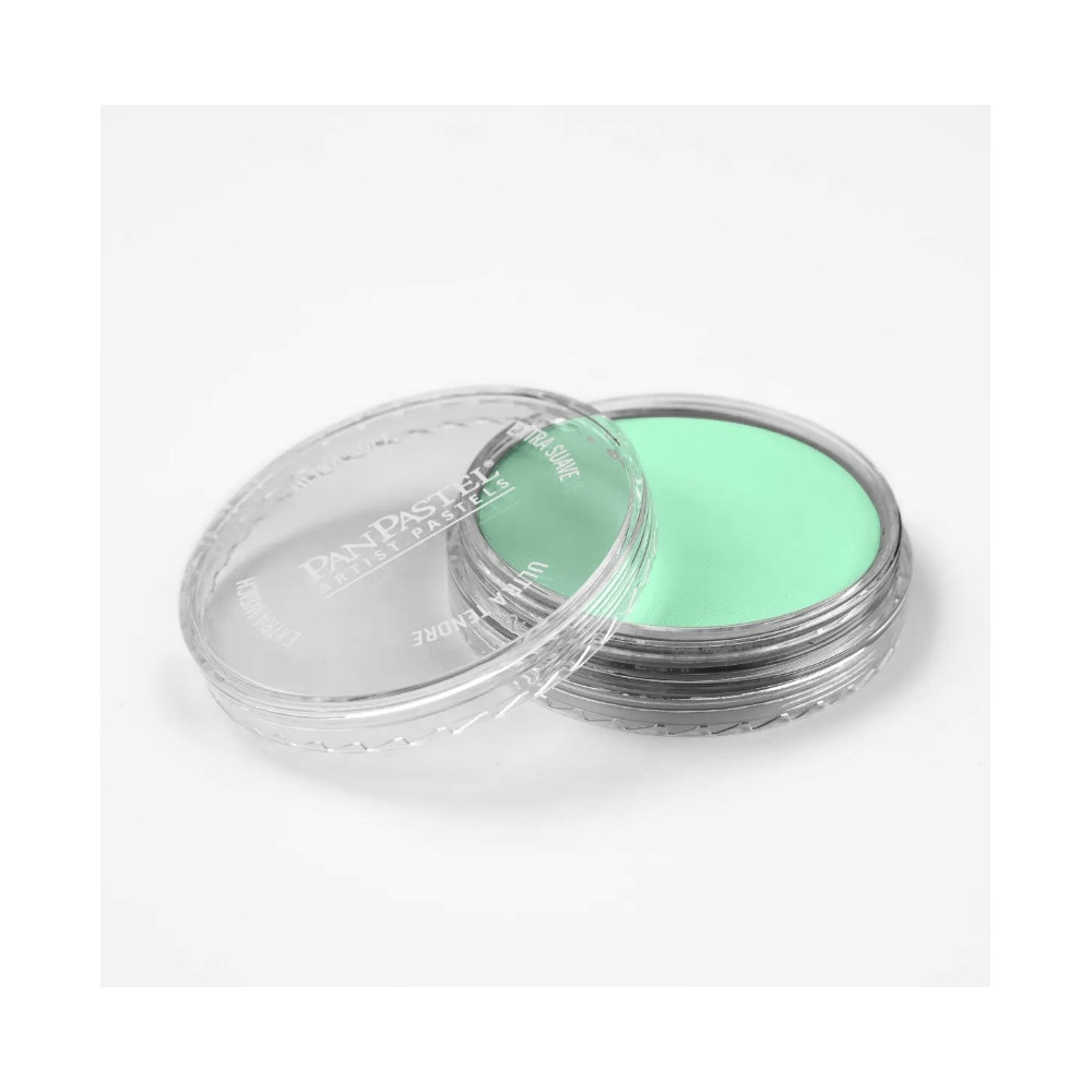 Ultra Soft PanPastel - 670.8 Blue Green Tint