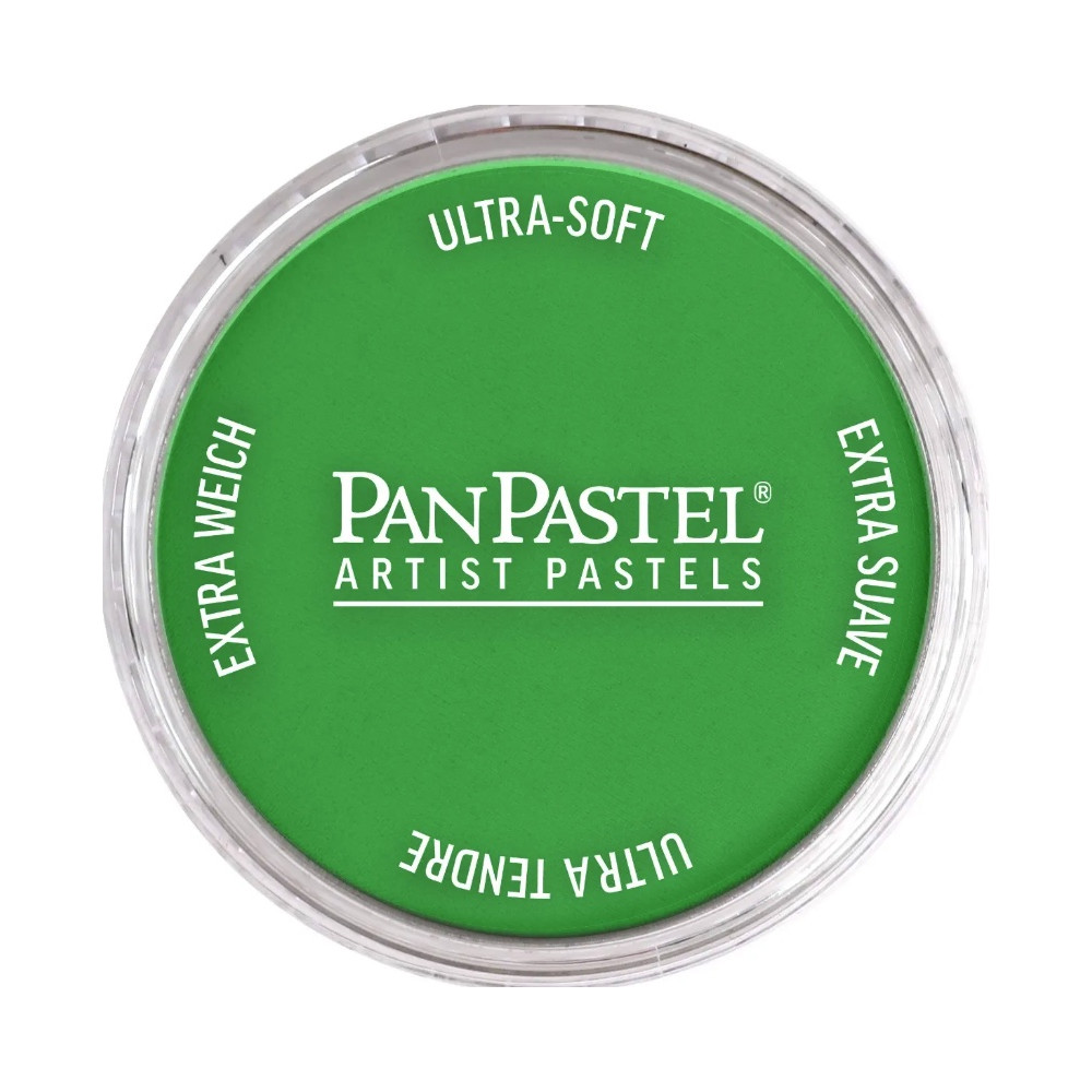 Pastela sucha PanPastel - 670.5 Blue Green