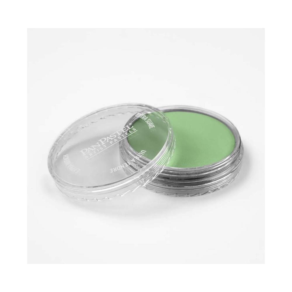 Ultra Soft PanPastel - 660.7 Chromium Oxide Green Light