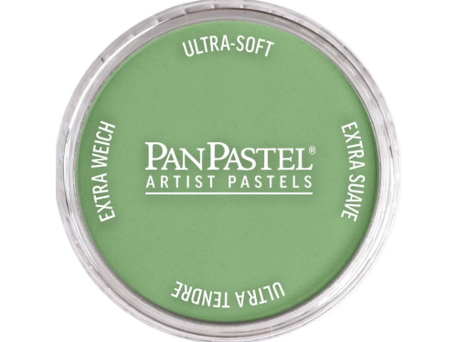 Pastela sucha PanPastel - 660.7 Chromium Oxide Green Light