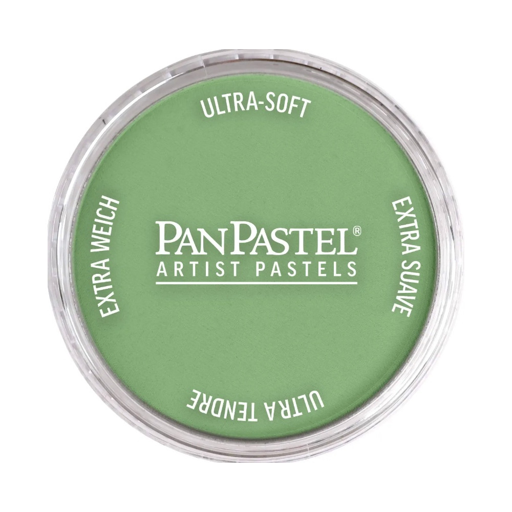 Pastela sucha PanPastel - 660.7 Chromium Oxide Green Light