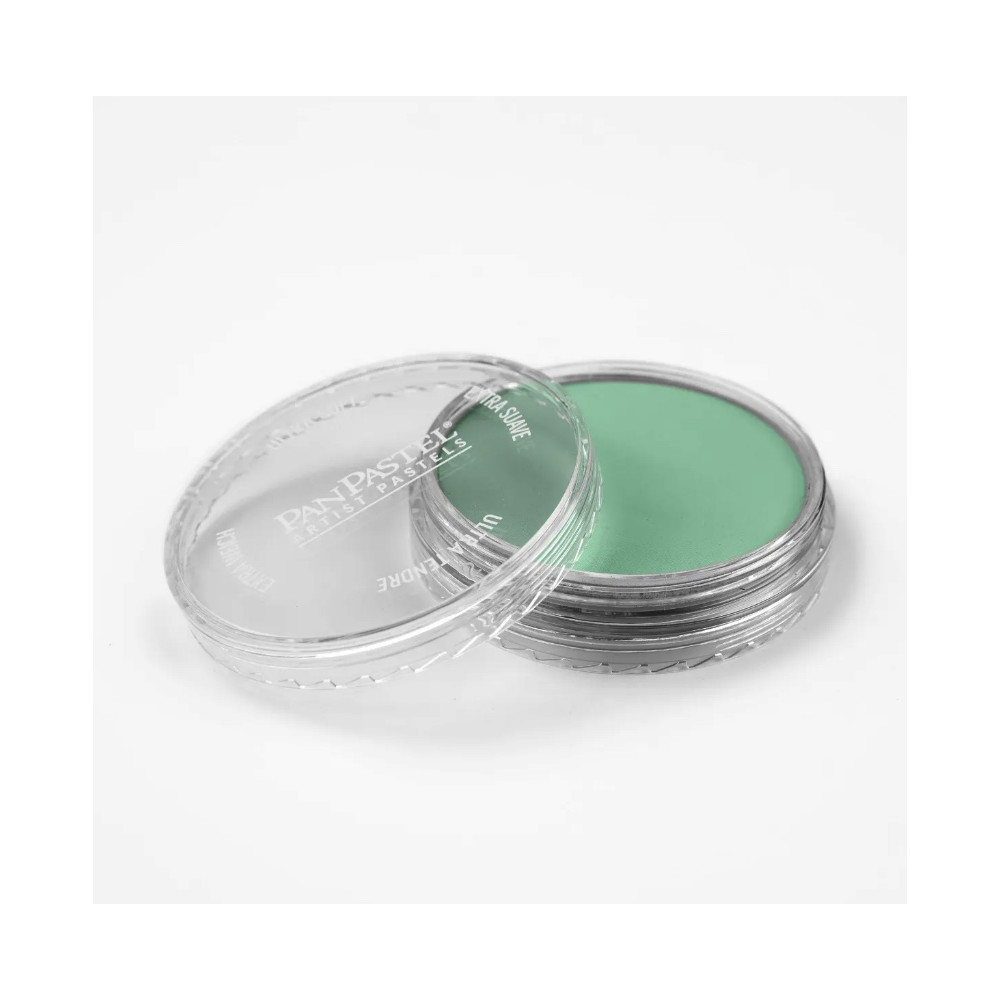 Pastela sucha PanPastel - 640.7 Permanent Green Light