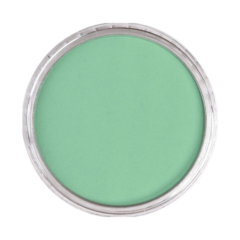 Pastela sucha PanPastel - 640.7 Permanent Green Light