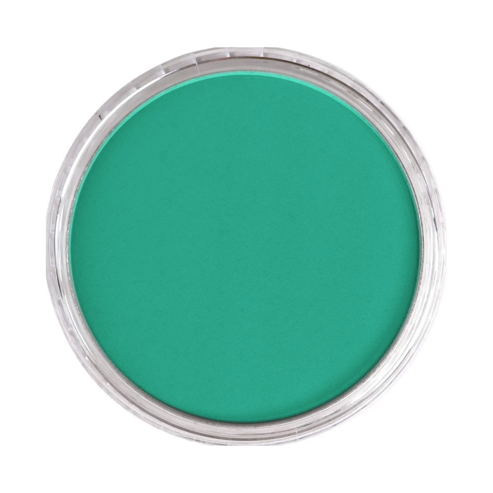 Ultra Soft PanPastel - 570.5 Teal