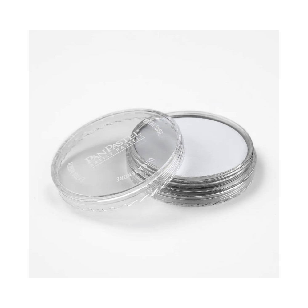 Ultra Soft PanPastel - 840.8 Payne's Gray Tint