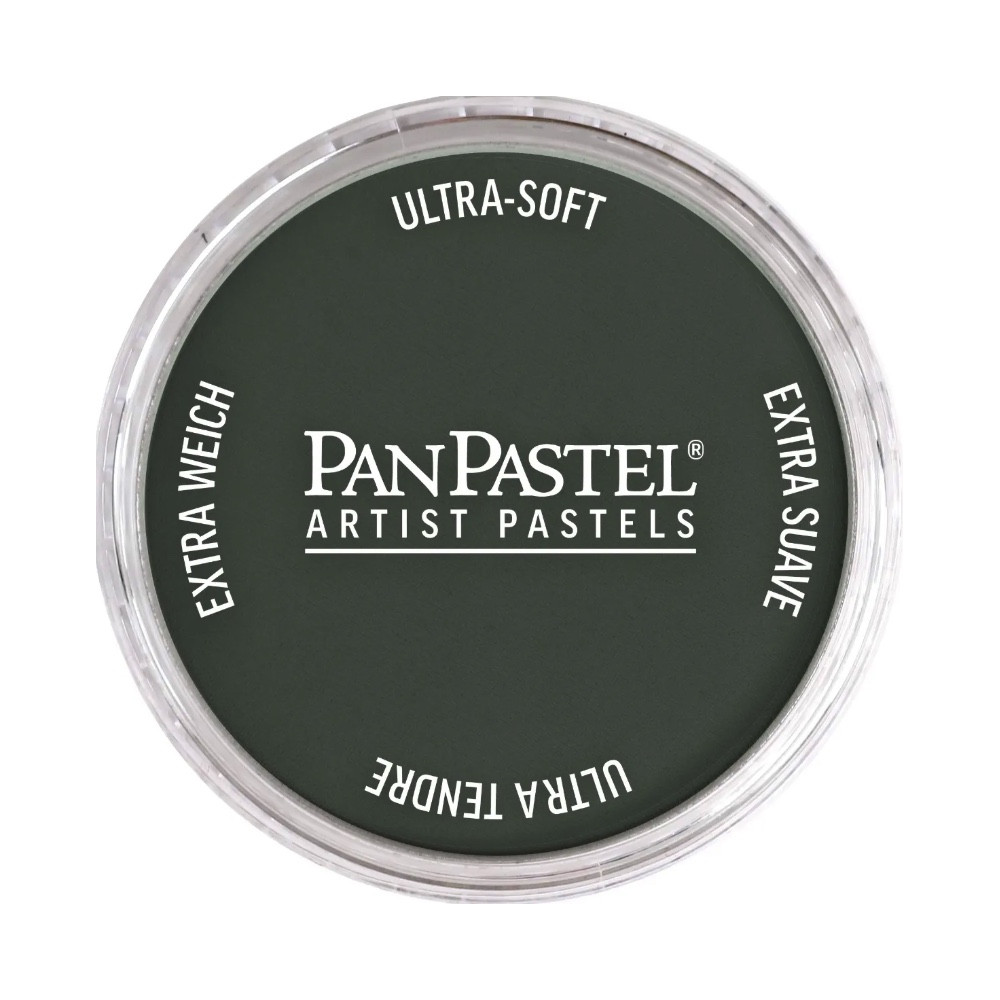 Ultra Soft PanPastel - 820.2 Neutral Gray Extra Dark 2