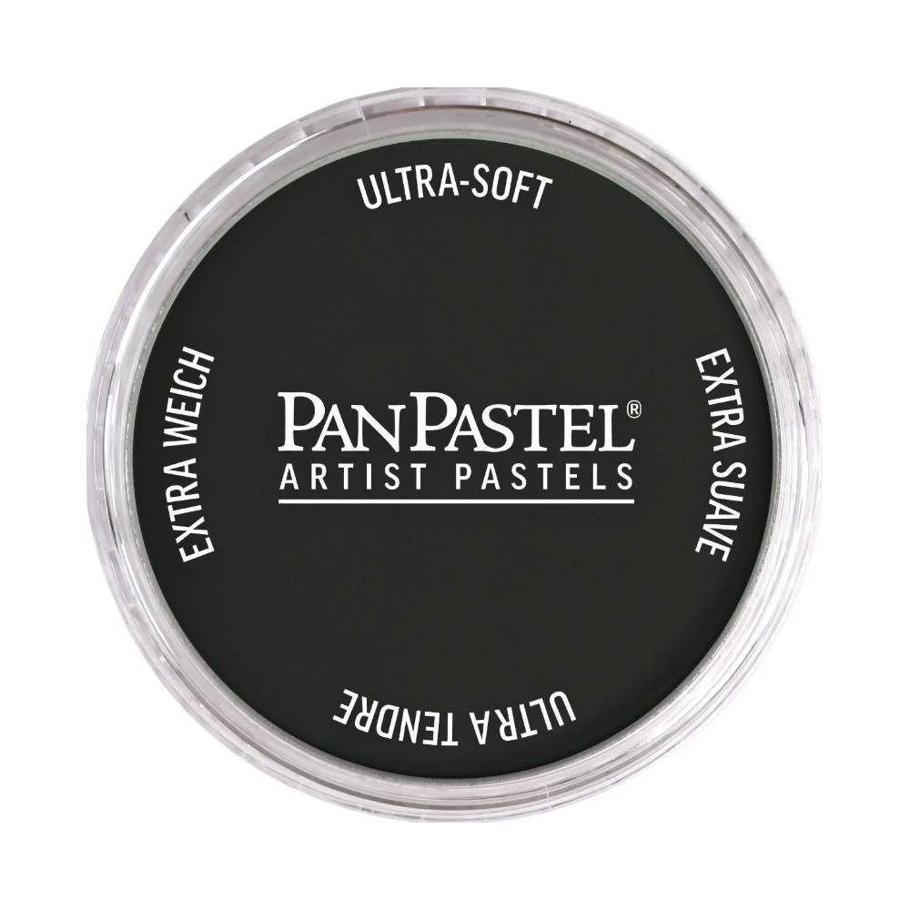 Ultra Soft PanPastel - 820.1 Neutral Gray Extra Dark 1