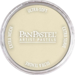 Ultra Soft PanPastel - 780.8 Raw Umber Tint