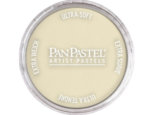 Ultra Soft PanPastel - 780.8 Raw Umber Tint