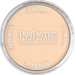 Pastela sucha PanPastel - 740.8 Burnt Sienna Tint