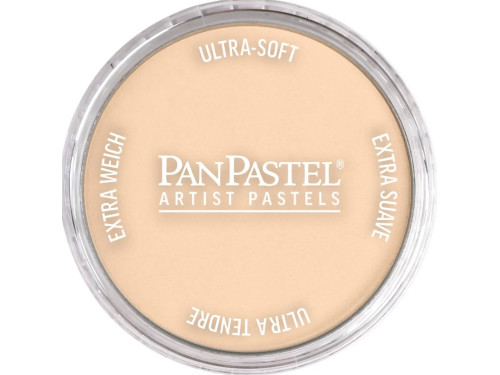 Ultra Soft PanPastel - 780.8 Raw Umber Tint