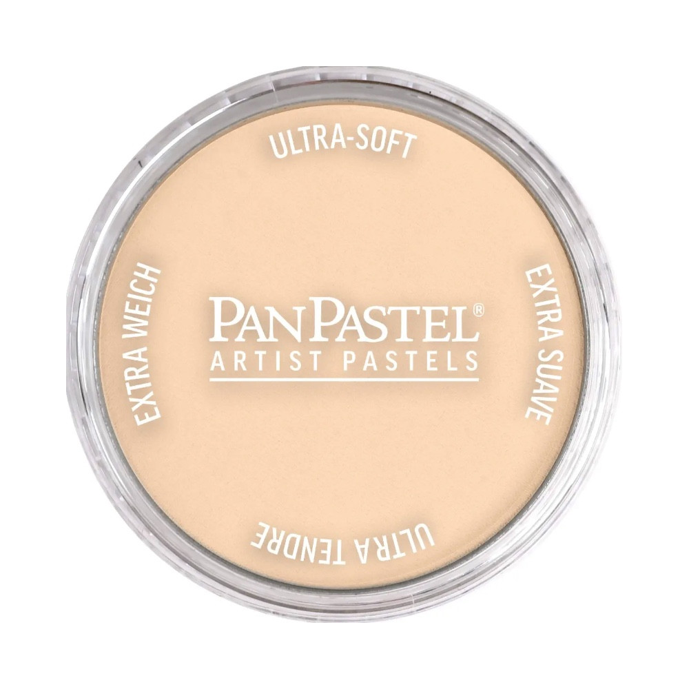 Ultra Soft PanPastel - 780.8 Raw Umber Tint
