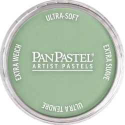 Ultra Soft PanPastel - 660.8 Chromium Oxide Green Tint