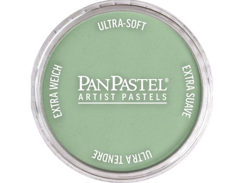 Ultra Soft PanPastel - 660.8 Chromium Oxide Green Tint