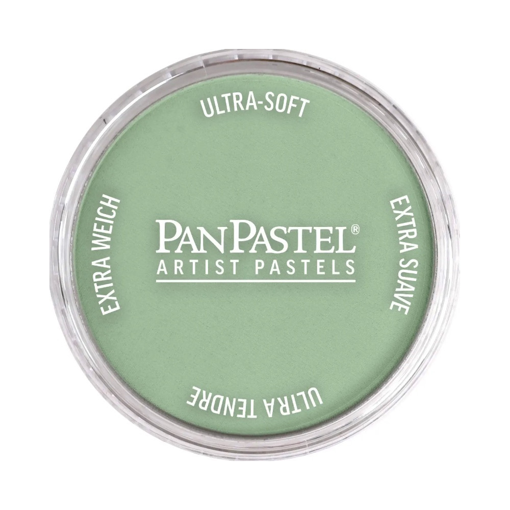 Ultra Soft PanPastel - 660.8 Chromium Oxide Green Tint