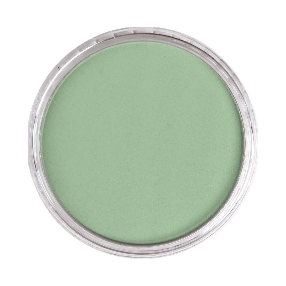 Pastela sucha PanPastel - 660.8 Chromium Oxide Green Tint
