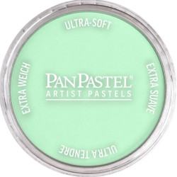 Ultra Soft PanPastel - 640.8 Permanent Green Tint