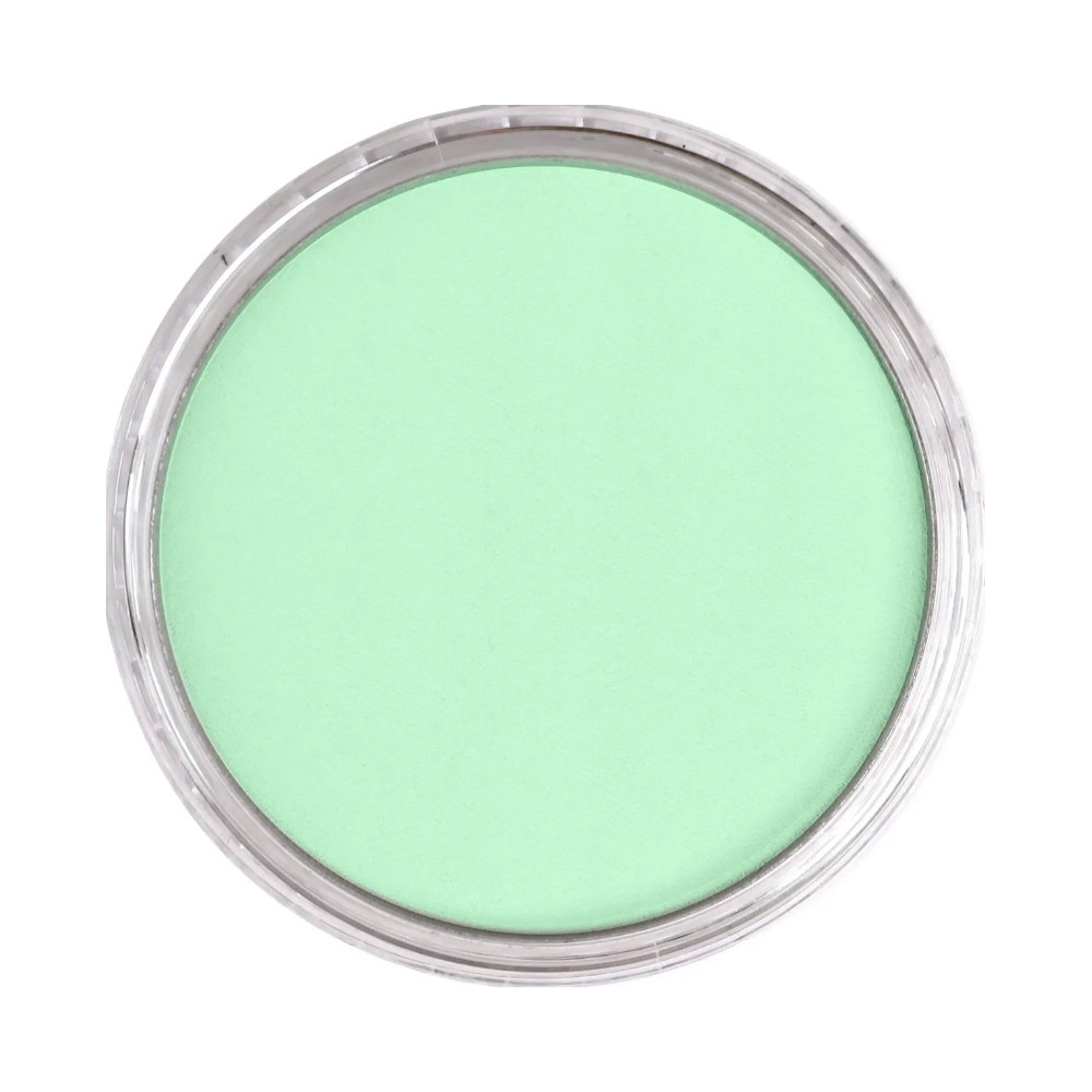 Pastela sucha PanPastel - 640.8 Permanent Green Tint