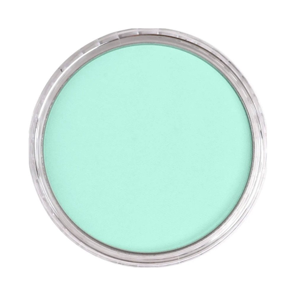 Ultra Soft PanPastel - 620.8 Phthalo Green Tint