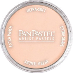 Pastela sucha PanPastel - 380.8 Red Iron Oxide Tint