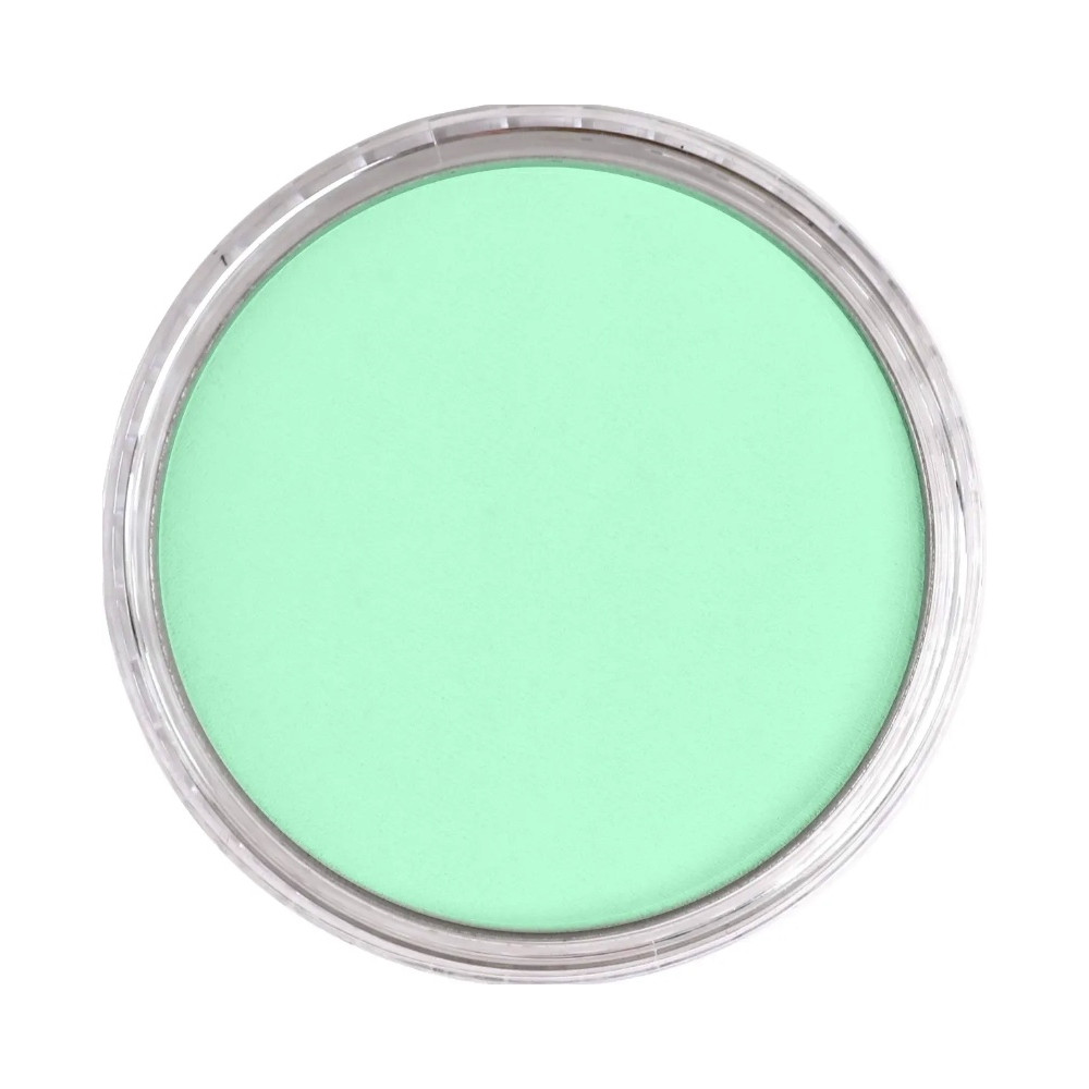 Pastela sucha PanPastel - 956.5 Pearlescent Green