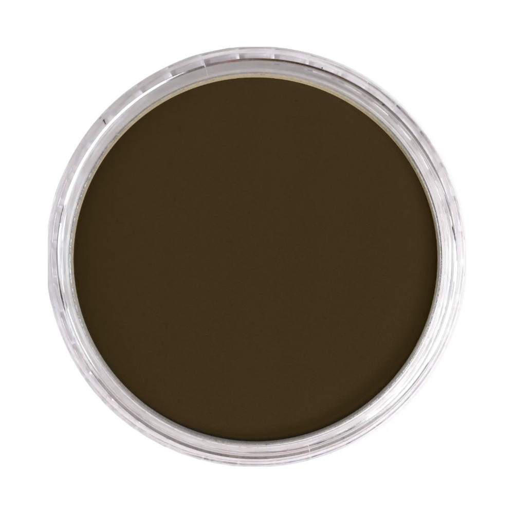 Pastela sucha PanPastel - 780.5 Raw Umber