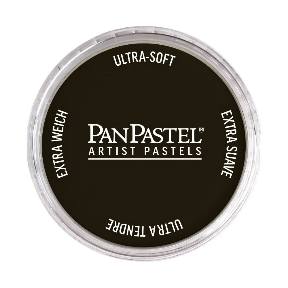 Ultra Soft PanPastel - 780.1 Raw Umber Extra Dark