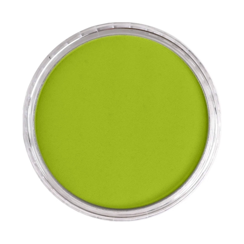 Pastela sucha PanPastel - 680.5 Bright Yellow Green