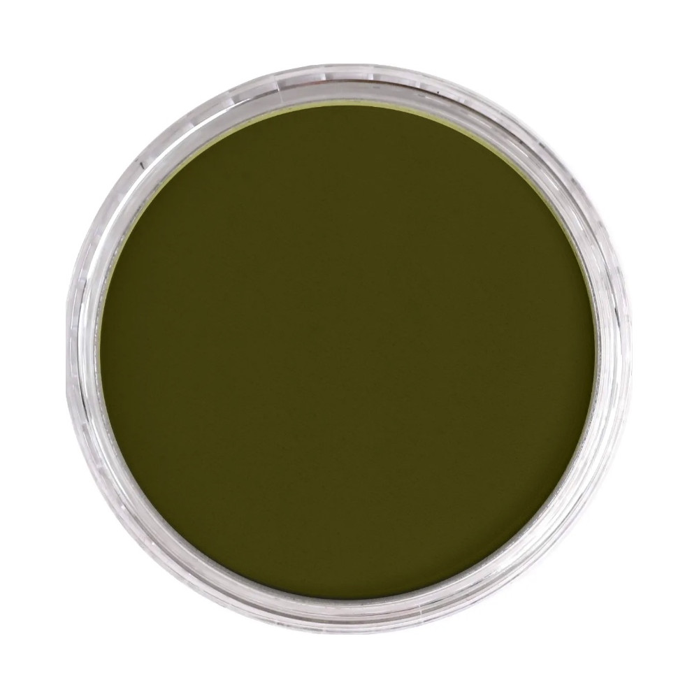 Ultra Soft PanPastel - 680.1 Bright Yellow Green Extra Dark