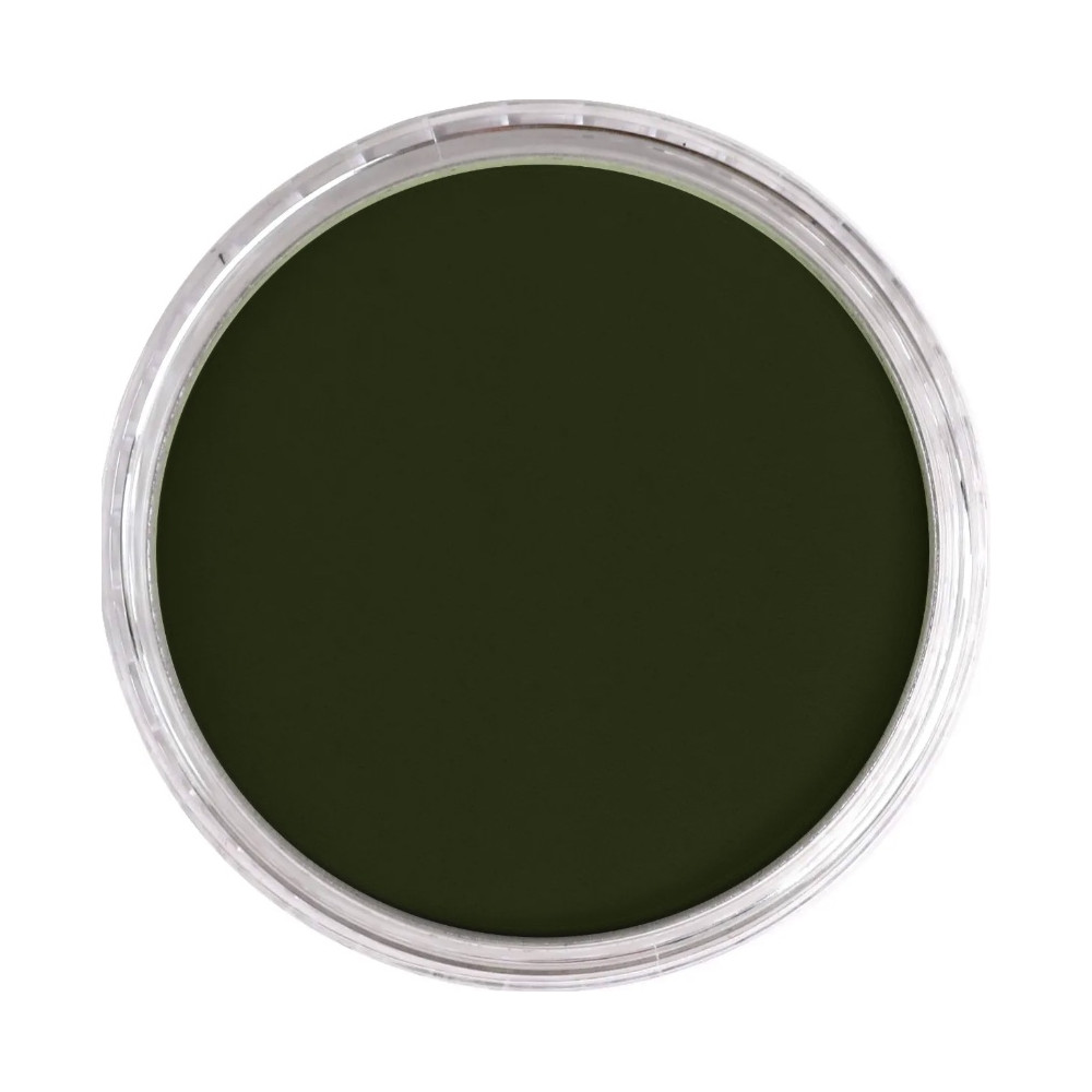 Ultra Soft PanPastel - 660.3 Chromium Oxide Green Shade