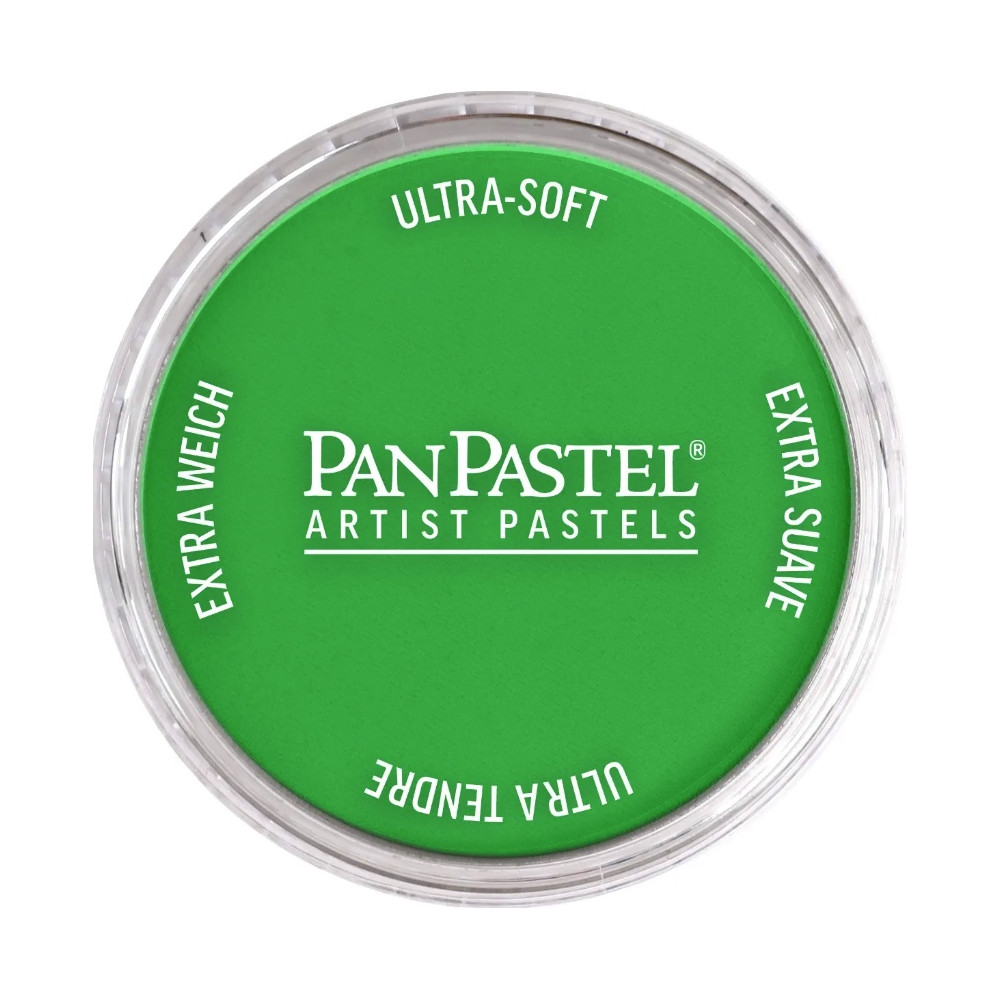 Ultra Soft PanPastel - 640.5 Permanent Green