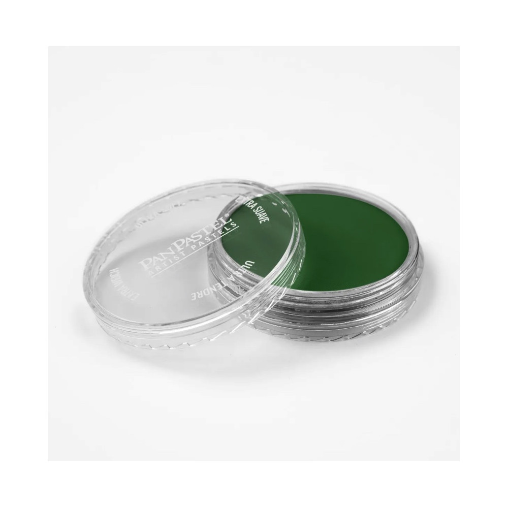Ultra Soft PanPastel - 640.3 Permanent Green Shade