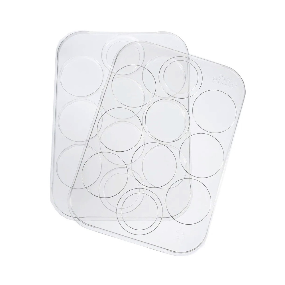 Palette Tray with lid for PanPastels - for 10 pans