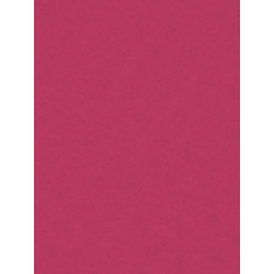 Decorative felt - dark pink, 20 x 30 cm