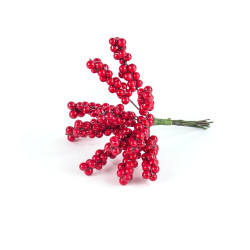 A bunch of rowans - 12 pcs.