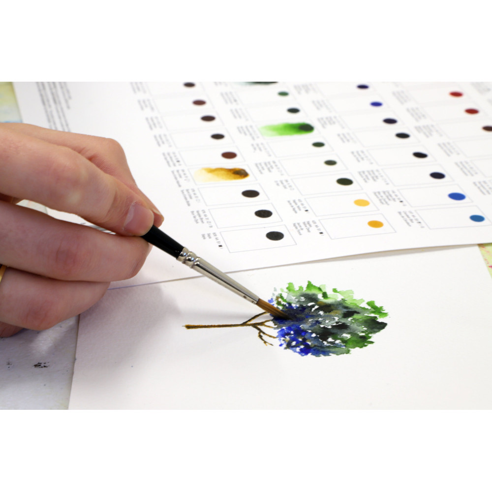 Professional Watercolour Dot Card Color Chart - Winsor & Newton - 109 colors