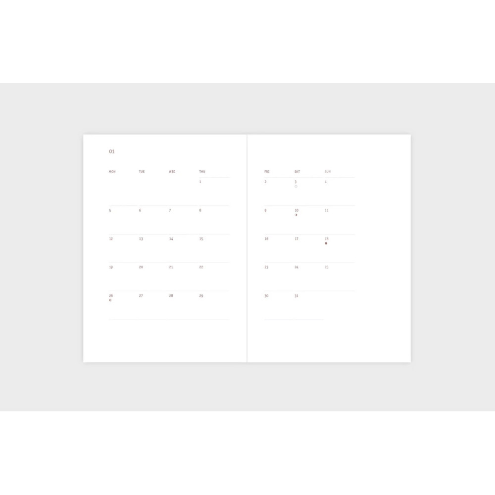 Everyday daily calendar 2026 - Papierniczeni - Ink