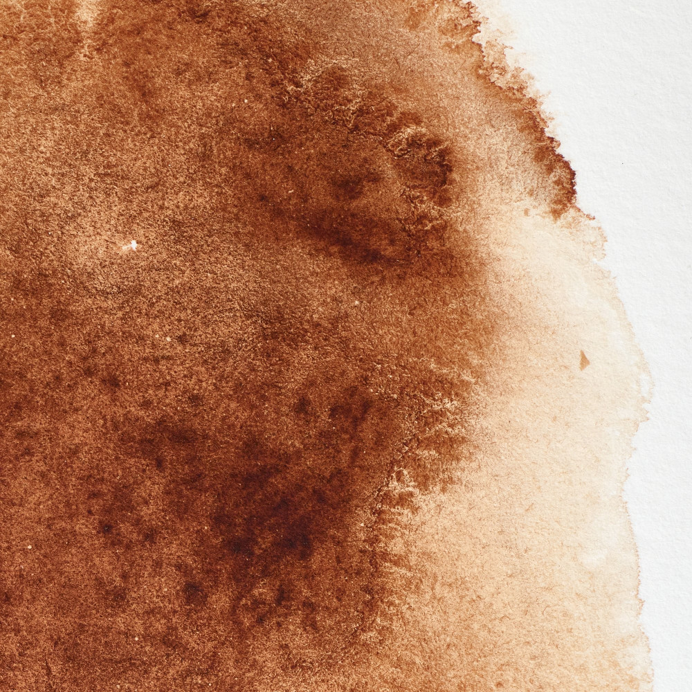 Professional Watercolor half-pan - Winsor & Newton - Burnt Umber