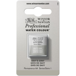 Farba akwarelowa Professional w półkostce - Winsor & Newton - Davy’s Grey