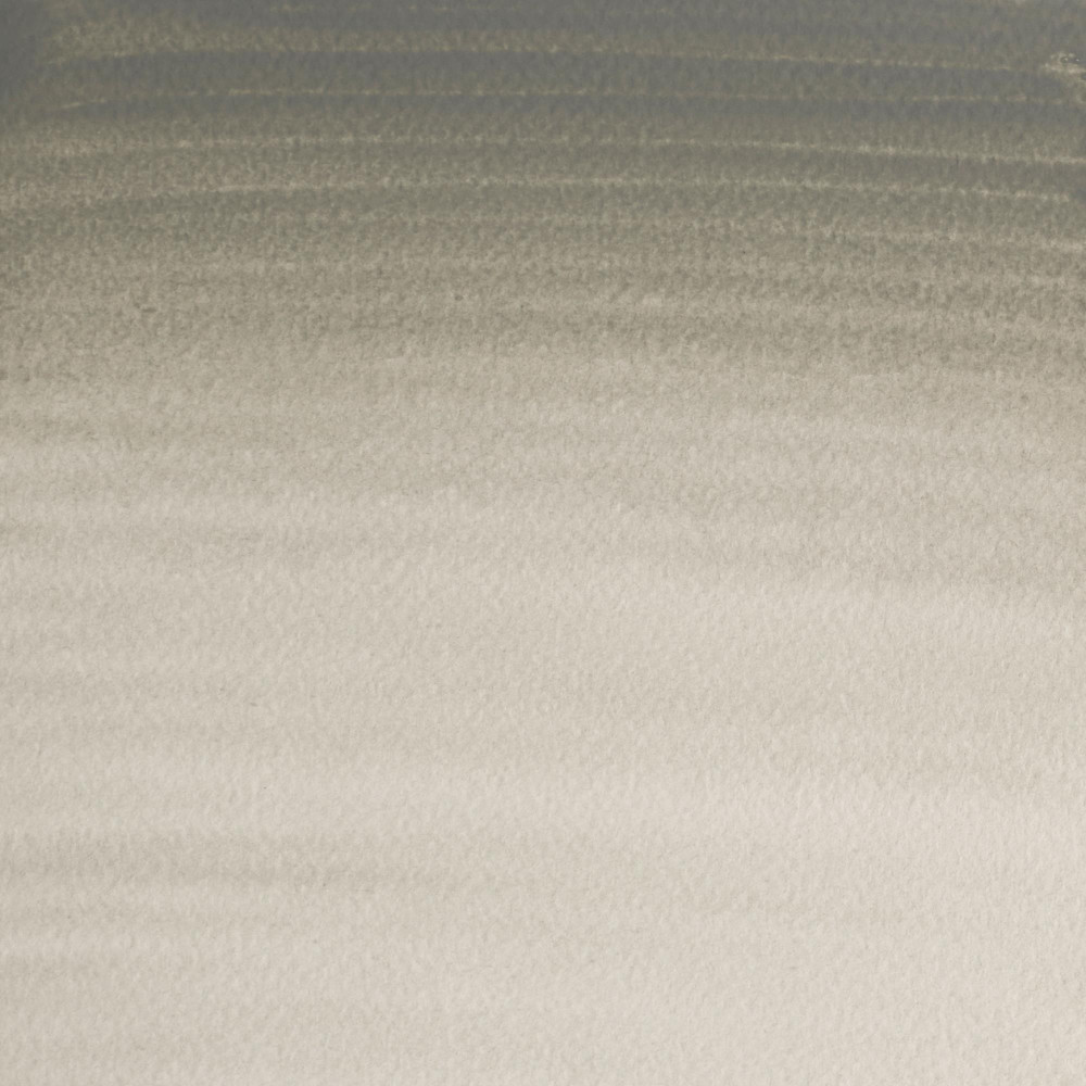 Farba akwarelowa Professional w półkostce - Winsor & Newton - Davy’s Grey