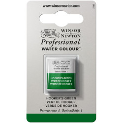 Professional Watercolor half-pan - Winsor & Newton - Hooker’s Green