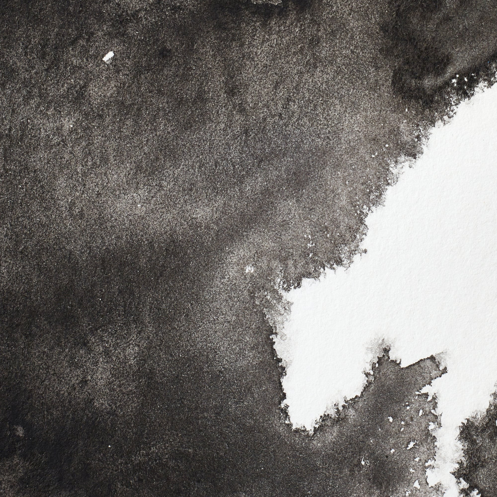 Farba akwarelowa Professional w półkostce - Winsor & Newton - Ivory Black