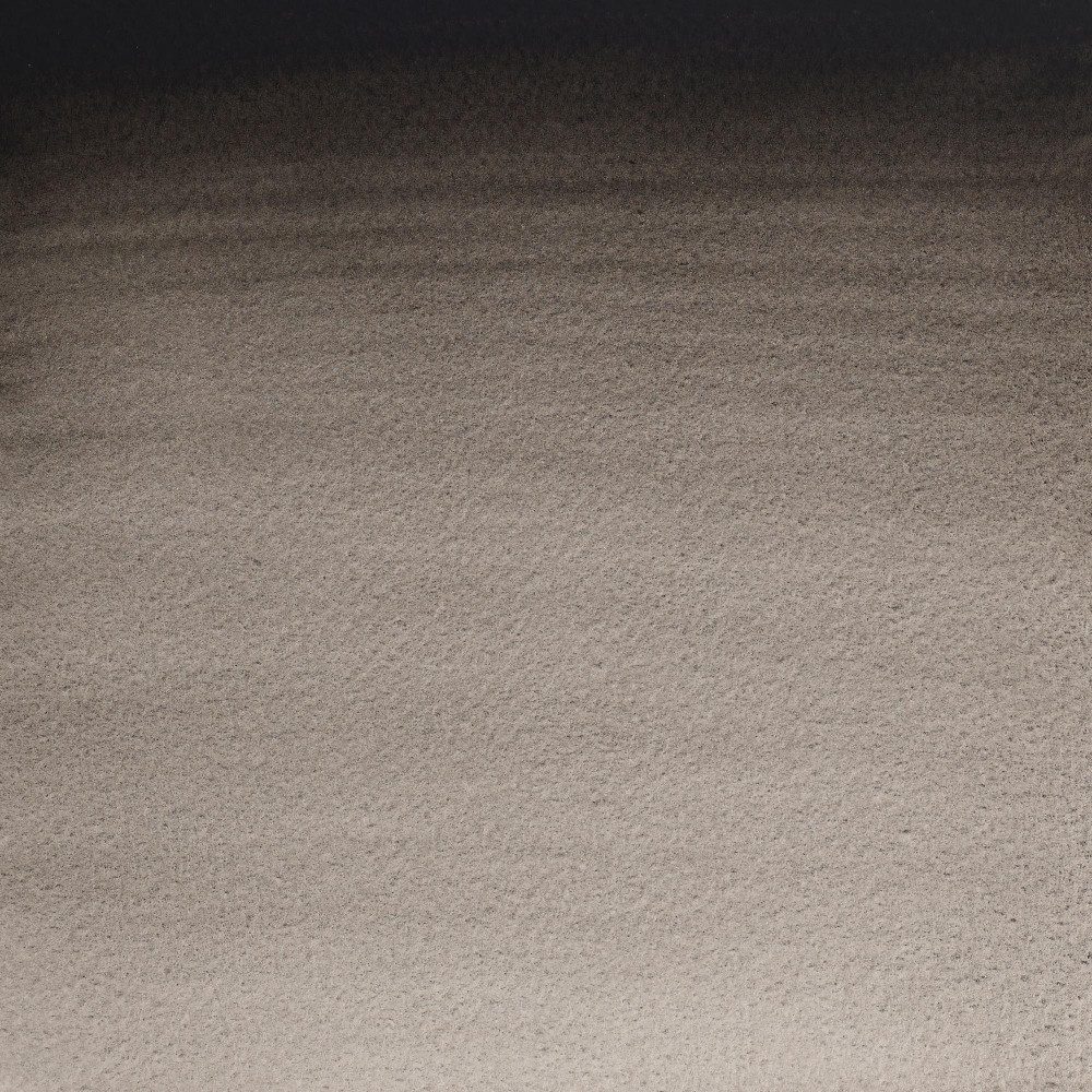 Farba akwarelowa Professional w półkostce - Winsor & Newton - Ivory Black