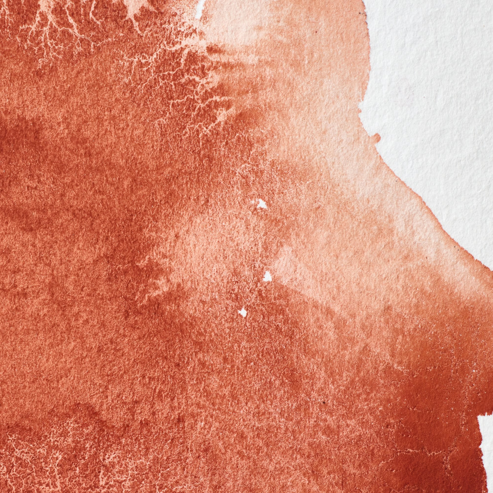 Farba akwarelowa Professional w półkostce - Winsor & Newton - Light Red